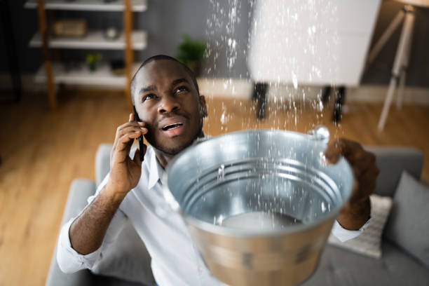 Best Ceiling water damage repair  in Freeland, MI