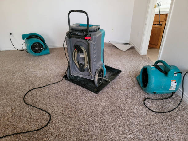 Best Water damage contractors near me  in Freeland, MI