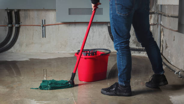 Best Ceiling water damage repair  in Freeland, MI