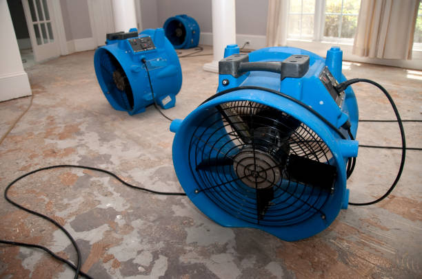 Best Water damage restoration services  in Freeland, MI
