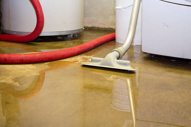 Professional Water damage restoration in Freeland, MI