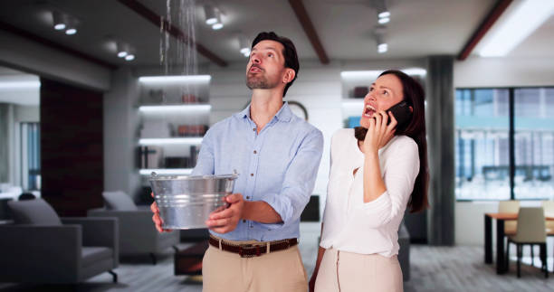 Best Professional water damage repair  in Freeland, MI